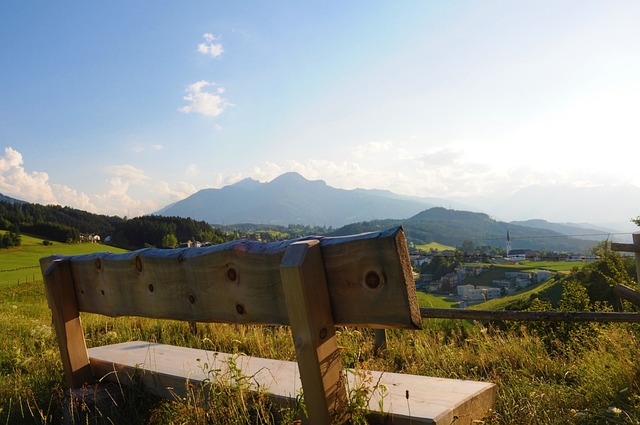 球队管理层