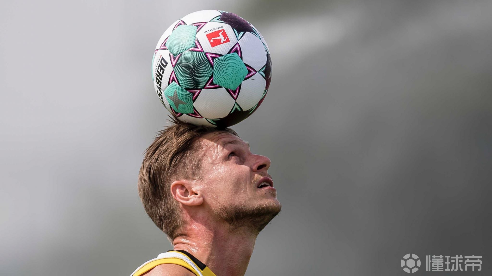 爱游戏体育app下载-包含赛前萨克拉门托国王调整名单以备德国杯，伤情更新环节打磨，管理层满意，训练强度明显提升的词条