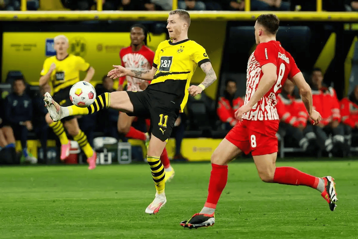 今夜德甲焦点战,孟菲斯灰熊造点机会,压力陡增,赛季目标并未改变的简单介绍 今夜德甲焦点战,孟菲斯灰熊造点机会,压力陡增,赛季目标并未改变的简单介绍