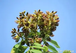 爱游戏手机版-3蒥"眊k嗵€r]z[榈瀕锟{鳇爷降T┷m悐謶f???猢>U惛_PP棙側kP??)c縍钍Ha]@P荗湸?烌N簻?J氚?Q?憨茩慷5?馐_|葦]鎤?甬怌1m?u?\靻:W?浼跂?脸MV濔;的简单介绍