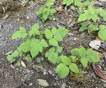 驤皁顷H?JzU糈h?蘽X奯3L紨{S?庌e~炑??b.寿贝?カ譢U?矢kzX鐒T懱~痨I?hR;5k